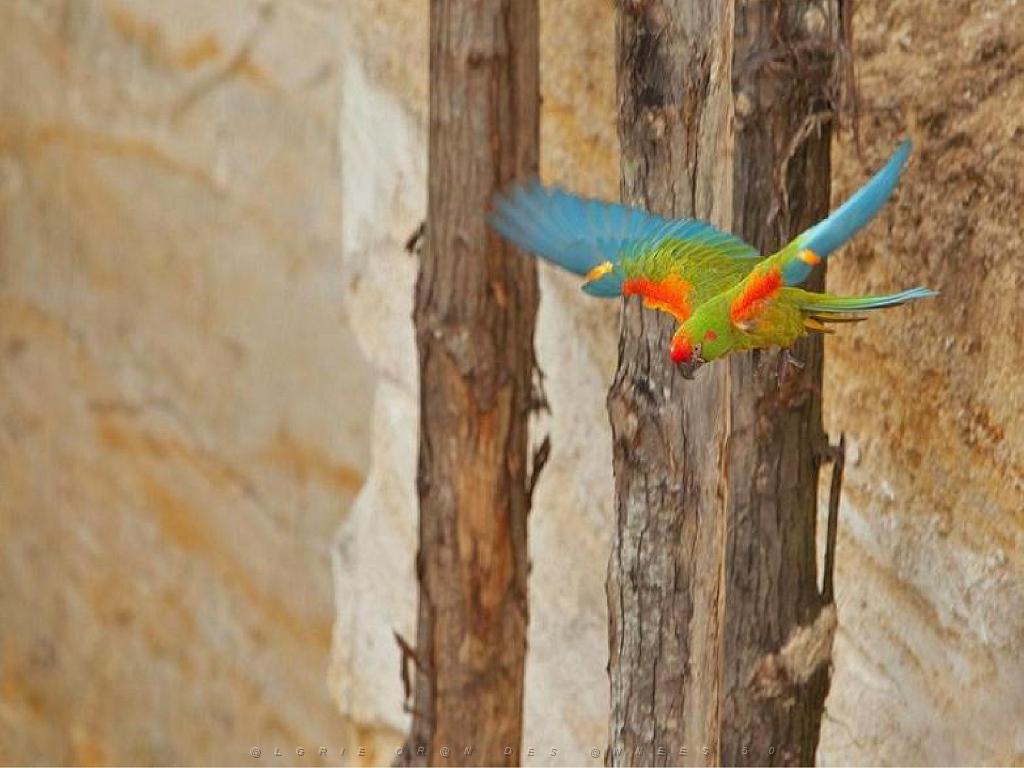 149 BIO PARC DE DOUE LA FONTAINE 5- 2016_000009.jpg